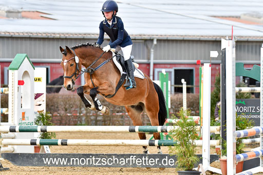 Reitsportzentrum Bremervörde 10.04.21 | 10421 Stilspring WB_100 