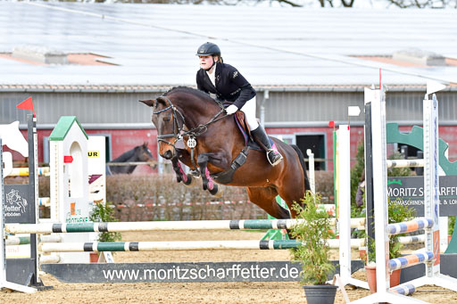 Reitsportzentrum Bremervörde 10.04.21 | 10421 Stilspring WB_104 