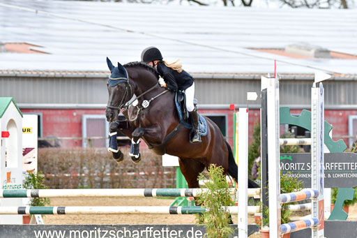 Reitsportzentrum Bremervörde 10.04.21 | 10421 Stilspring WB_107 
