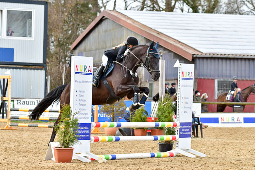 Reitsportzentrum Bremervörde 10.04.21 | 10421 Stilspring WB_110 