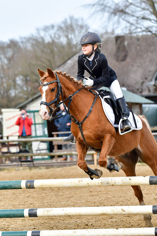 Reitsportzentrum Bremervörde 10.04.21 | 10421 Stilspring WB_115 