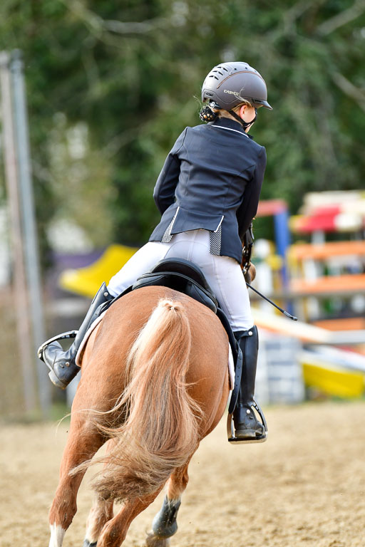 Reitsportzentrum Bremervörde 10.04.21 | 10421 Stilspring WB_116 