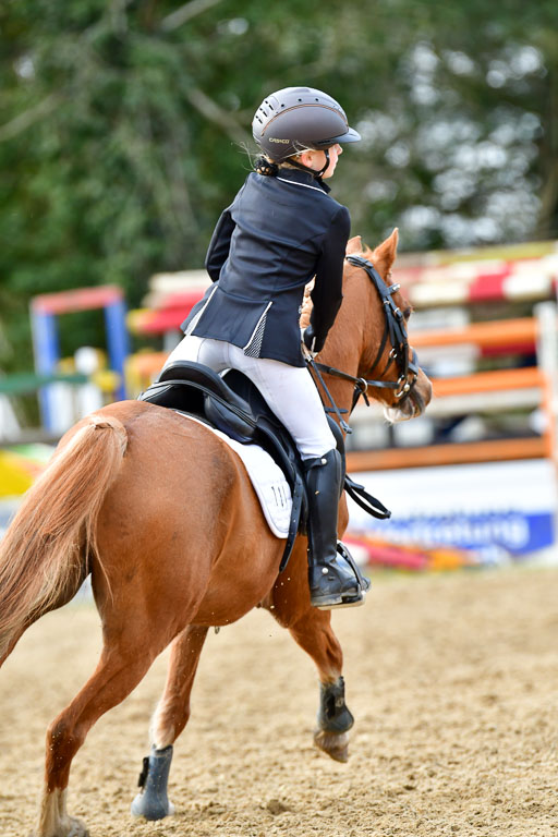 Reitsportzentrum Bremervörde 10.04.21 | 10421 Stilspring WB_118 