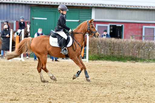 Reitsportzentrum Bremervörde 10.04.21 | 10421 Stilspring WB_120 