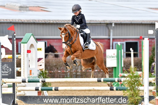 Reitsportzentrum Bremervörde 10.04.21 | 10421 Stilspring WB_123 