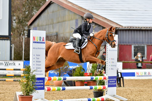Reitsportzentrum Bremervörde 10.04.21 | 10421 Stilspring WB_128 