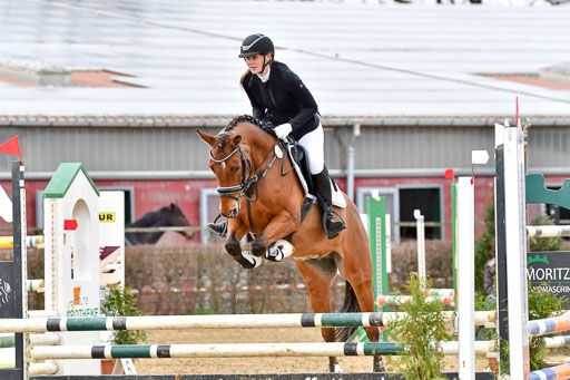 Reitsportzentrum Bremervörde 10.04.21 | 10421 Stilspring WB_138 