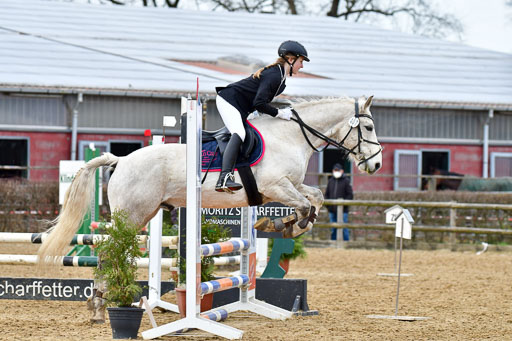 Reitsportzentrum Bremervörde 10.04.21 | 10421 Stilspring WB_143 