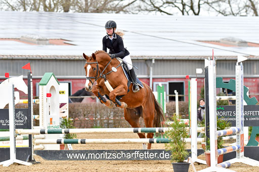 Reitsportzentrum Bremervörde 10.04.21 | 10421 Stilspring WB_147 