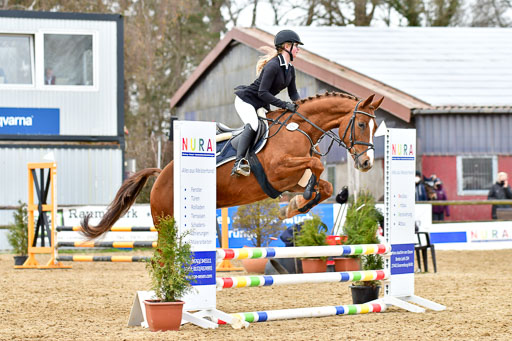 Reitsportzentrum Bremervörde 10.04.21 | 10421 Stilspring WB_148 