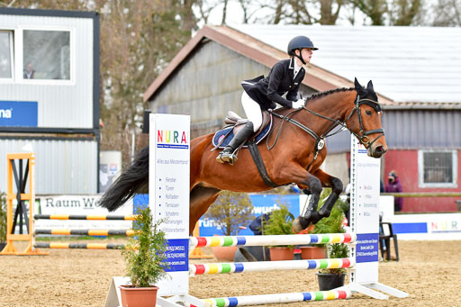 Reitsportzentrum Bremervörde 10.04.21 | 10421 Stilspring WB_151 