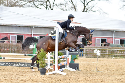 Reitsportzentrum Bremervörde 10.04.21 | 10421 Stilspring WB_153 