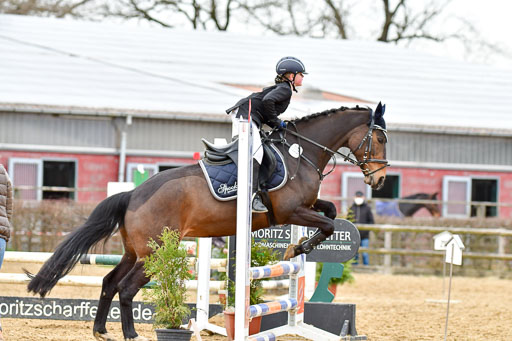 Reitsportzentrum Bremervörde 10.04.21 | 10421 Stilspring WB_158 