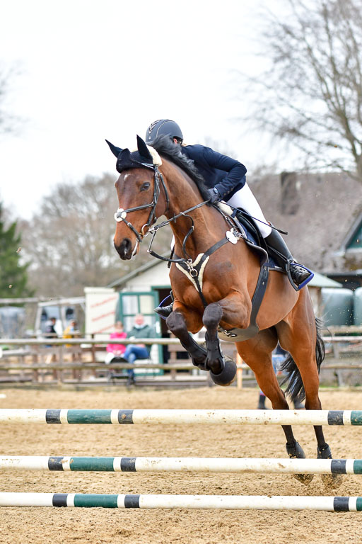Reitsportzentrum Bremervörde 10.04.21 | 10421 Stilspring WB_159 