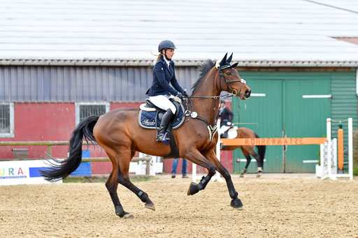 Reitsportzentrum Bremervörde 10.04.21 | 10421 Stilspring WB_160 