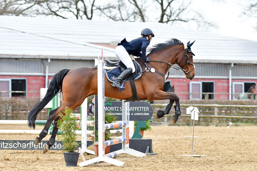 Reitsportzentrum Bremervörde 10.04.21 | 10421 Stilspring WB_162 