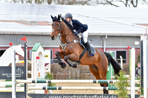 Reitsportzentrum Bremervörde 10.04.21 | 10421 Stilspring WB_163 