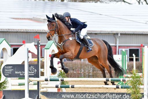 Reitsportzentrum Bremervörde 10.04.21 | 10421 Stilspring WB_164 