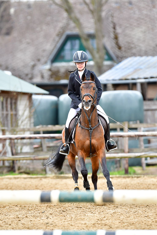 Reitsportzentrum Bremervörde 10.04.21 | 10421 Stilspring WB_167 