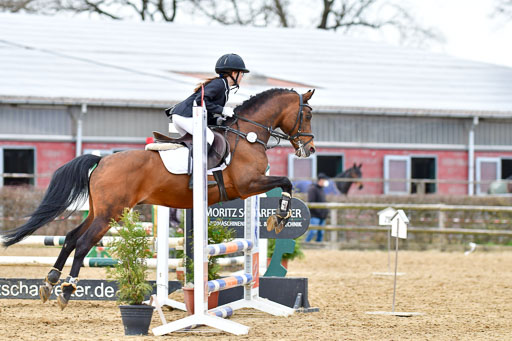 Reitsportzentrum Bremervörde 10.04.21 | 10421 Stilspring WB_170 