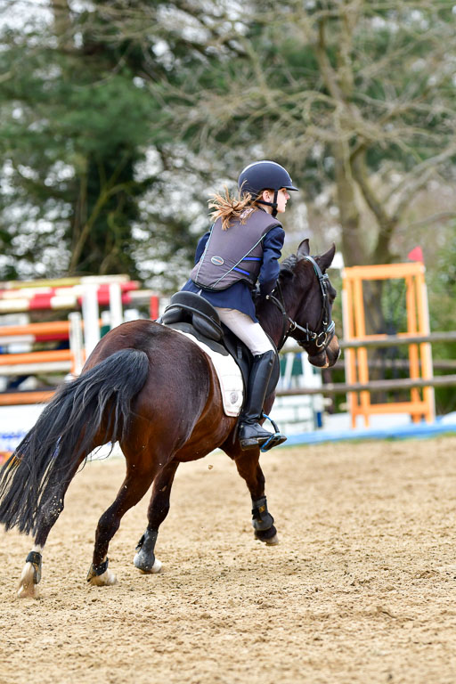 Reitsportzentrum Bremervörde 10.04.21 | 10421 Stilspring WB_180 