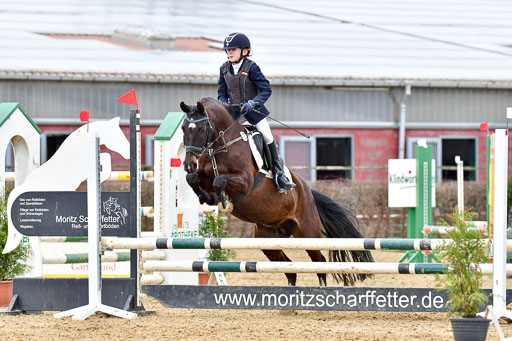 Reitsportzentrum Bremervörde 10.04.21 | 10421 Stilspring WB_182 