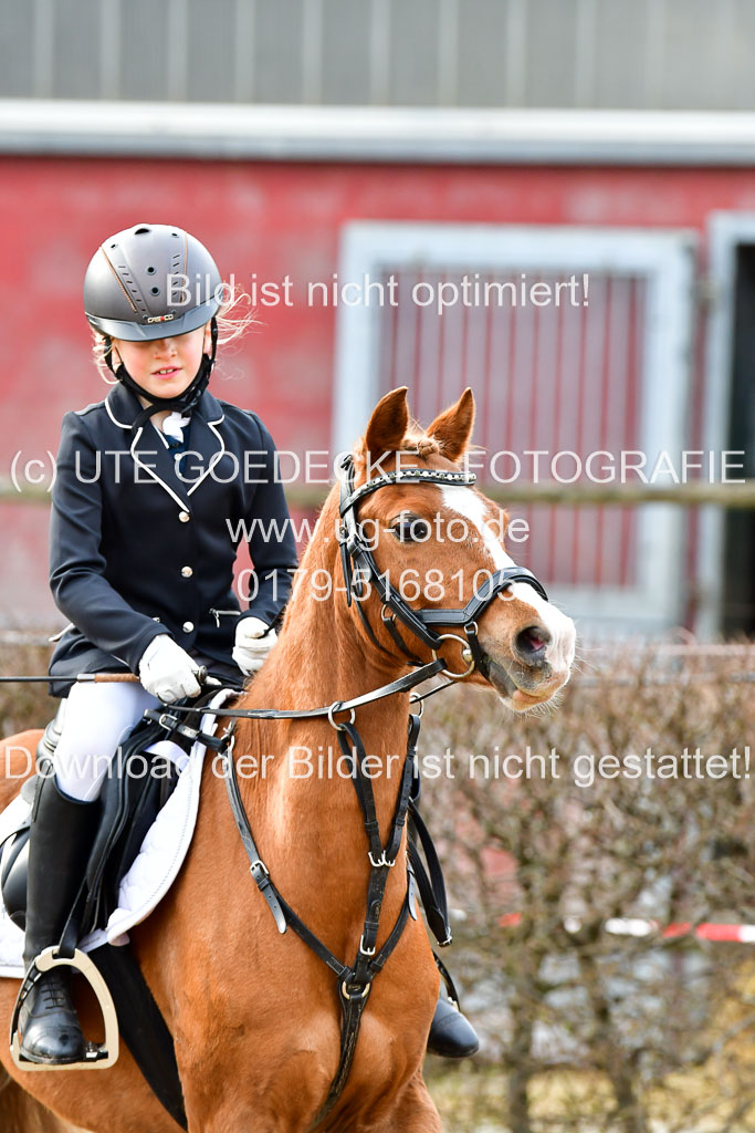 Reitsportzentrum Bremervörde 8.4.21 | 080421 Stilspring WB _039