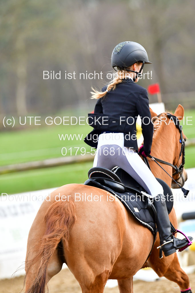 Reitsportzentrum Bremervörde 8.4.21 | 080421 Stilspring WB _094
