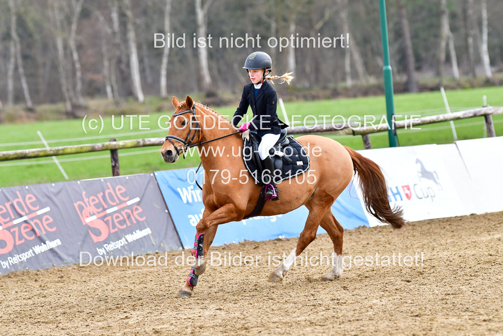 Reitsportzentrum Bremervörde 8.4.21 | 080421 Stilspring WB _099