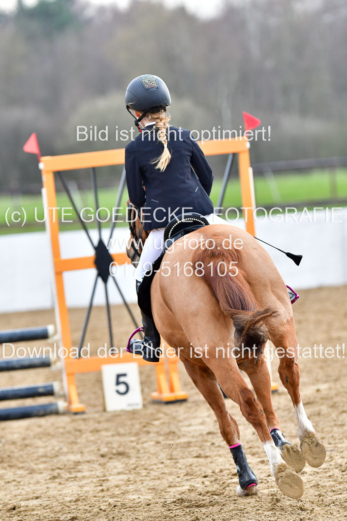 Reitsportzentrum Bremervörde 8.4.21 | 080421 Stilspring WB _102