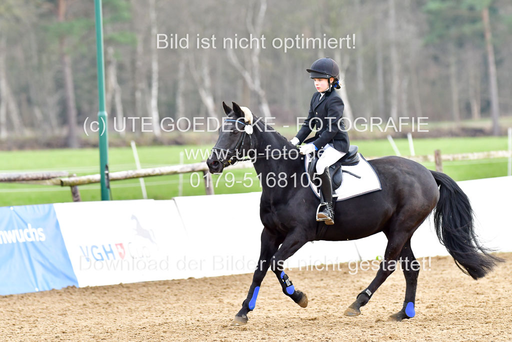 Reitsportzentrum Bremervörde  8.4.21 | 080421 Stilspring WB _202 