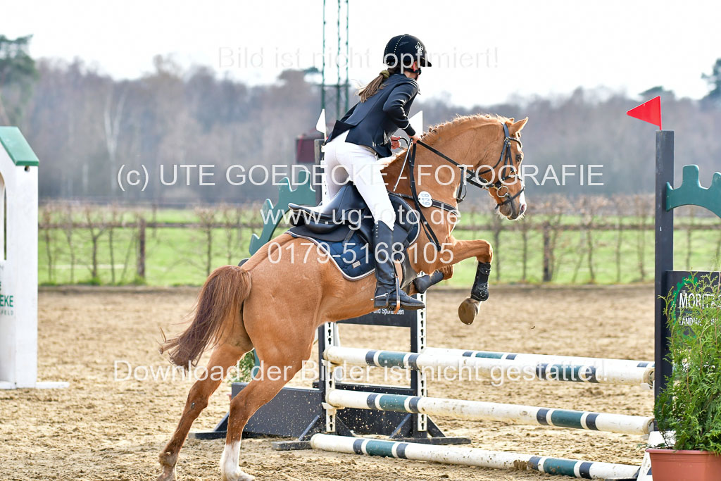 Reitsportzentrum Bremervörde  8.4.21 | 080421 Stilspring WB _243 