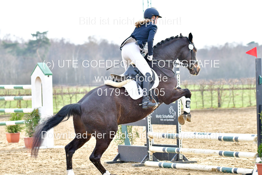 Reitsportzentrum Bremervörde  8.4.21 | 080421 Stilspring WB _262 