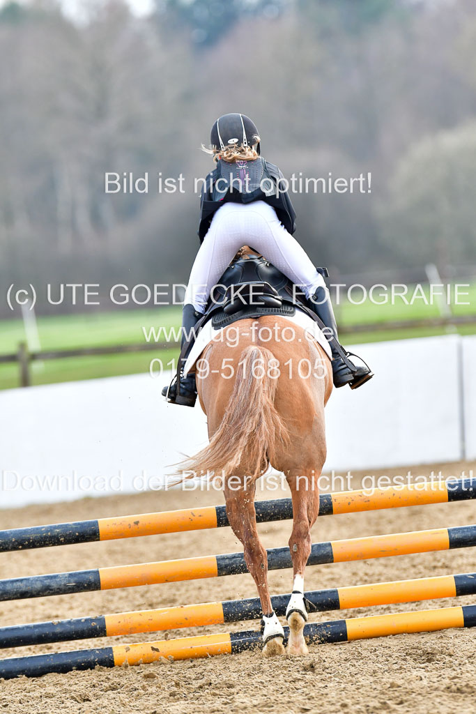 Reitsportzentrum Bremervörde  8.4.21 | 080421 Stilspring WB _281 