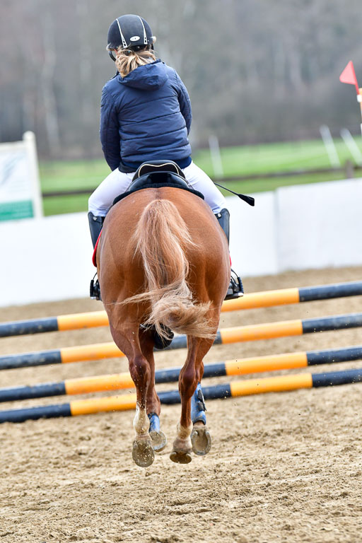 Reitsportzentrum Bremervörde  8.4.21 | 080421 Stilspring WB _022 