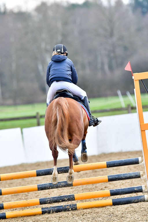 Reitsportzentrum Bremervörde  8.4.21 | 080421 Stilspring WB _023 