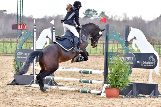 Reitsportzentrum Bremervörde  8.4.21 | 080421 Stilspring WB _031 