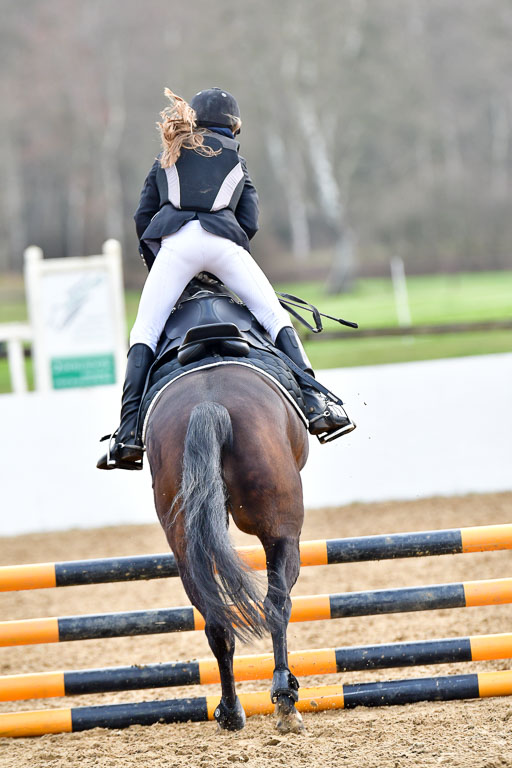 Reitsportzentrum Bremervörde  8.4.21 | 080421 Stilspring WB _036 