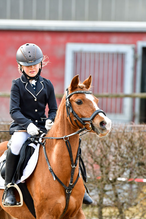Reitsportzentrum Bremervörde  8.4.21 | 080421 Stilspring WB _039 