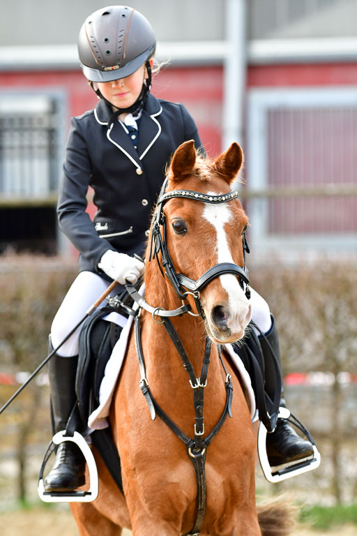 Reitsportzentrum Bremervörde  8.4.21 | 080421 Stilspring WB _040 