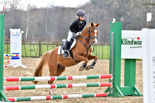 Reitsportzentrum Bremervörde  8.4.21 | 080421 Stilspring WB _041 