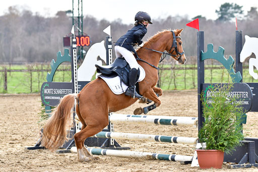 Reitsportzentrum Bremervörde  8.4.21 | 080421 Stilspring WB _043 