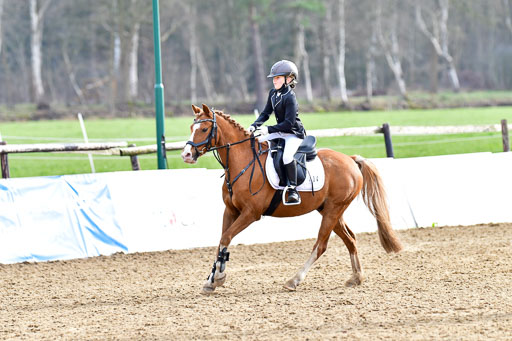 Reitsportzentrum Bremervörde  8.4.21 | 080421 Stilspring WB _045 