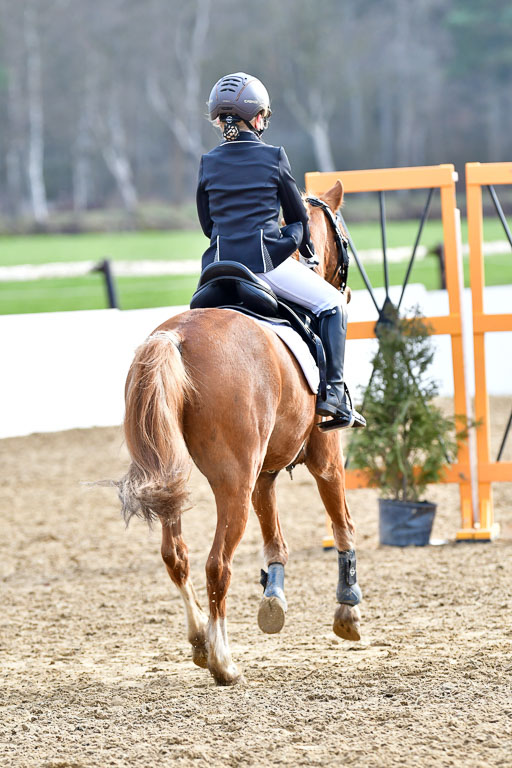 Reitsportzentrum Bremervörde  8.4.21 | 080421 Stilspring WB _050 