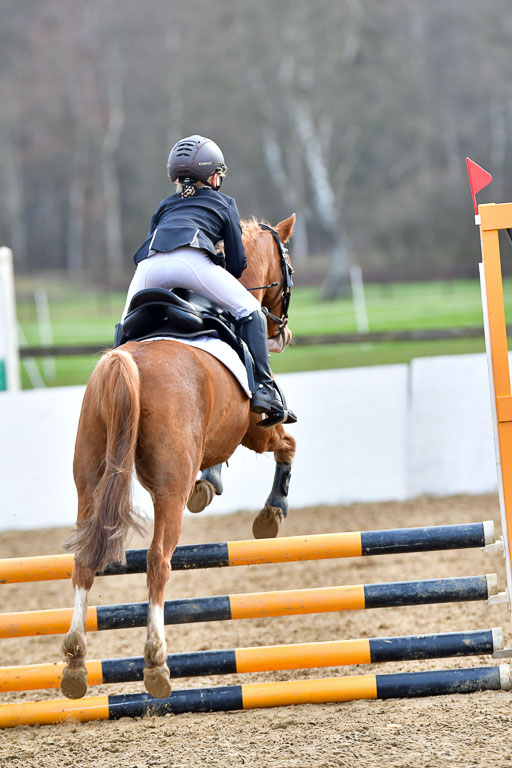 Reitsportzentrum Bremervörde  8.4.21 | 080421 Stilspring WB _051 