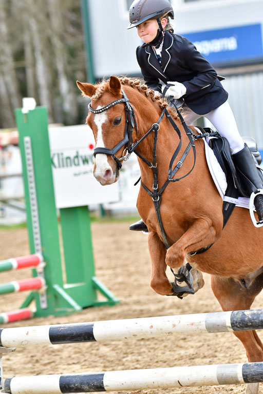 Reitsportzentrum Bremervörde  8.4.21 | 080421 Stilspring WB _054 