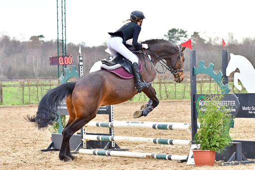 Reitsportzentrum Bremervörde  8.4.21 | 080421 Stilspring WB _062 