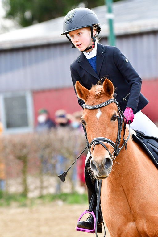 Reitsportzentrum Bremervörde  8.4.21 | 080421 Stilspring WB _093 