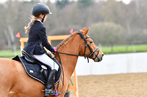 Reitsportzentrum Bremervörde  8.4.21 | 080421 Stilspring WB _097 