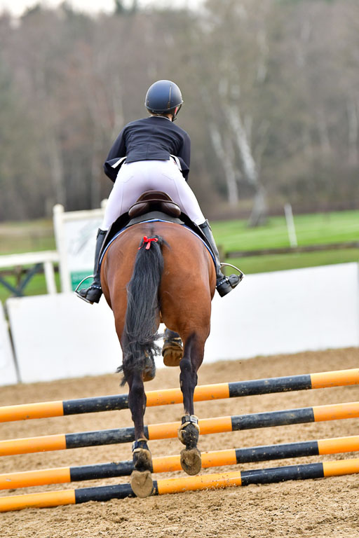 Reitsportzentrum Bremervörde  8.4.21 | 080421 Stilspring WB _128 